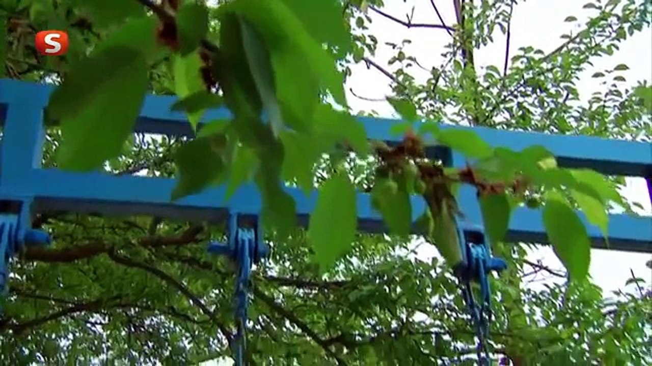 Küçük Gelin | 81. Bölüm