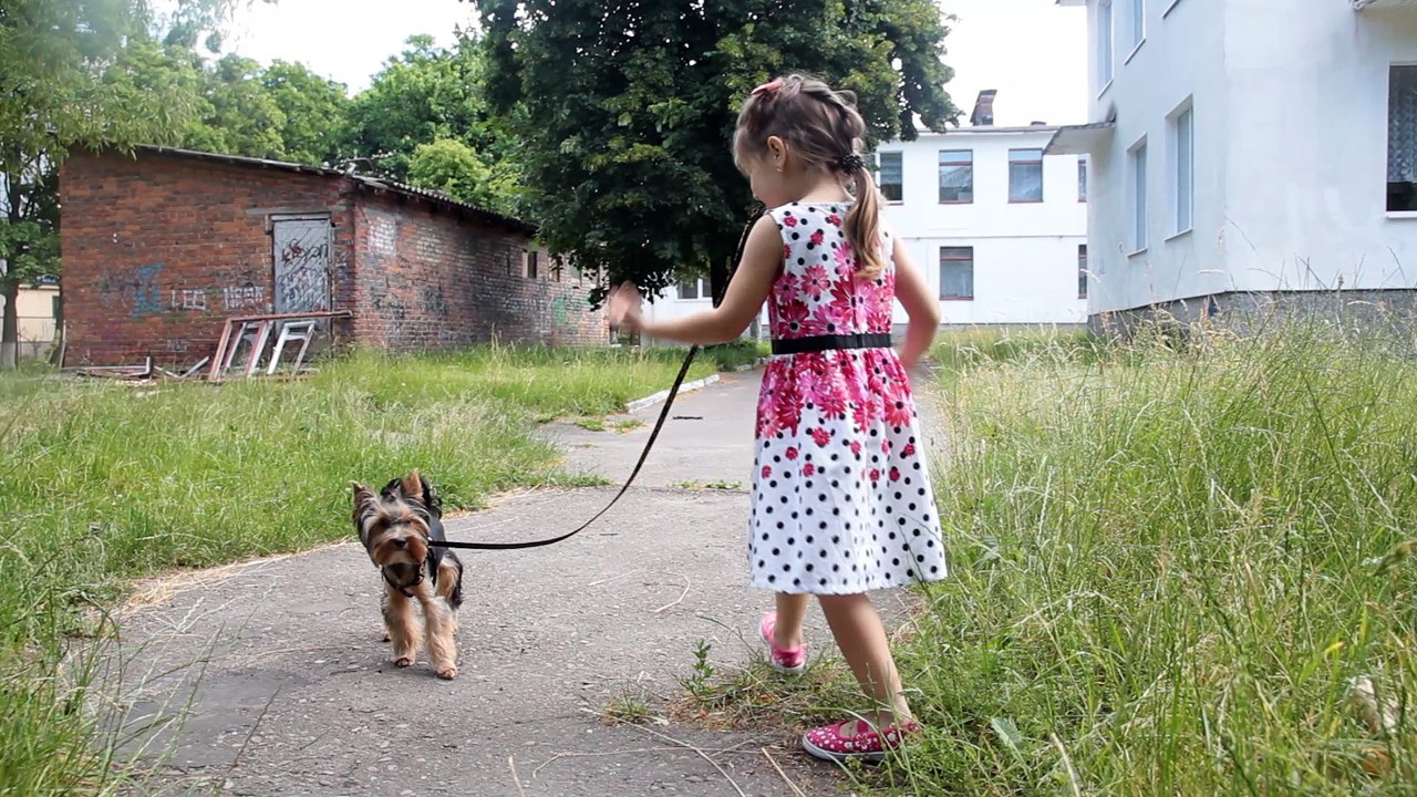 Сюрпризы в шариках ОРБИЗ : Игрушки Хелло Китти Маша Игры для девочек ORBEEZ Surprise for kids