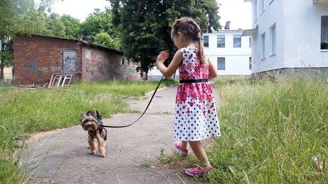 Сюрпризы в шариках ОРБИЗ : Игрушки Хелло Китти Маша Игры для девочек ORBEEZ Surprise for kids