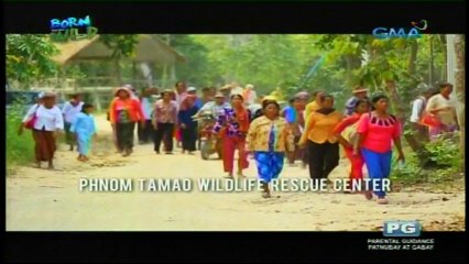 Born To Be Wild - September 18, 2016 Part 3