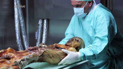 Ötzi, "l'homme des glaces", 25 ans de scoops scientifiques