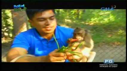 Born To Be Wild - September 18, 2016 Part 4