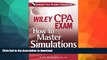 READ PDF Wiley CPA Exam: How to Master Simulations (with CD ROM) READ EBOOK