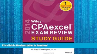 READ THE NEW BOOK Wiley CPA excel Exam Review 2014 Study Guide, Business Environment and Concepts