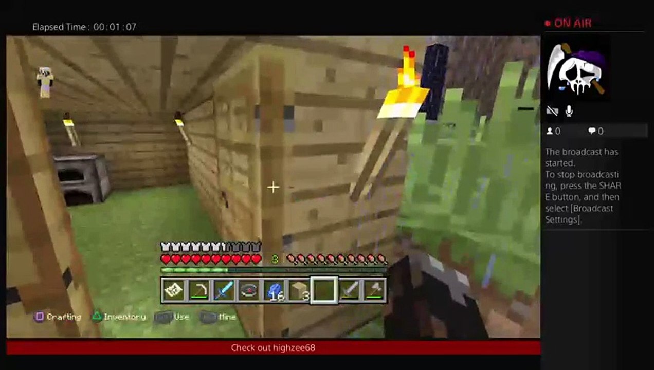 Minecraft (9)