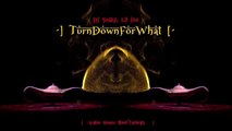 DJ Snake, Lil Jon Turn Down for What Arabic Remix $TEFF TRAPBEATZ