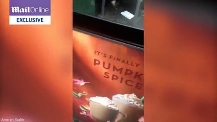 2 female beggars stealing a mobile phone from a tourist in London