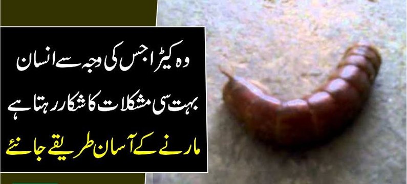 Wo Kera Jis Ki Waja Se Insan Bhot Si Muskilat Ka samna Karna Parta Hai