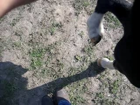 Pawnee Jambette droite-gauche-droite-gauche