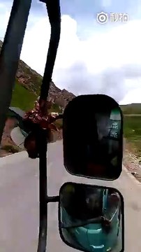 Combat de rue bien violent entre.... 2 marmottes! ahaha