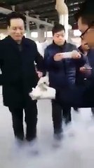 Freeze fish alive suddenly