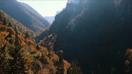 Blair Witch (2016 Movie) Trailer - “Don’t Go In There”