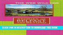 New Book The Wee Wild One: Stories of Belfast and Beyond (Irish Studies in Literature and Culture)