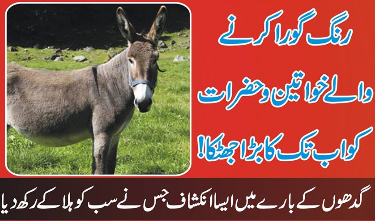 Rang Gora Karne Wali Khawateen Or Hazrat K Liye Ab Tak Ka Sab Se Bara Jhatka