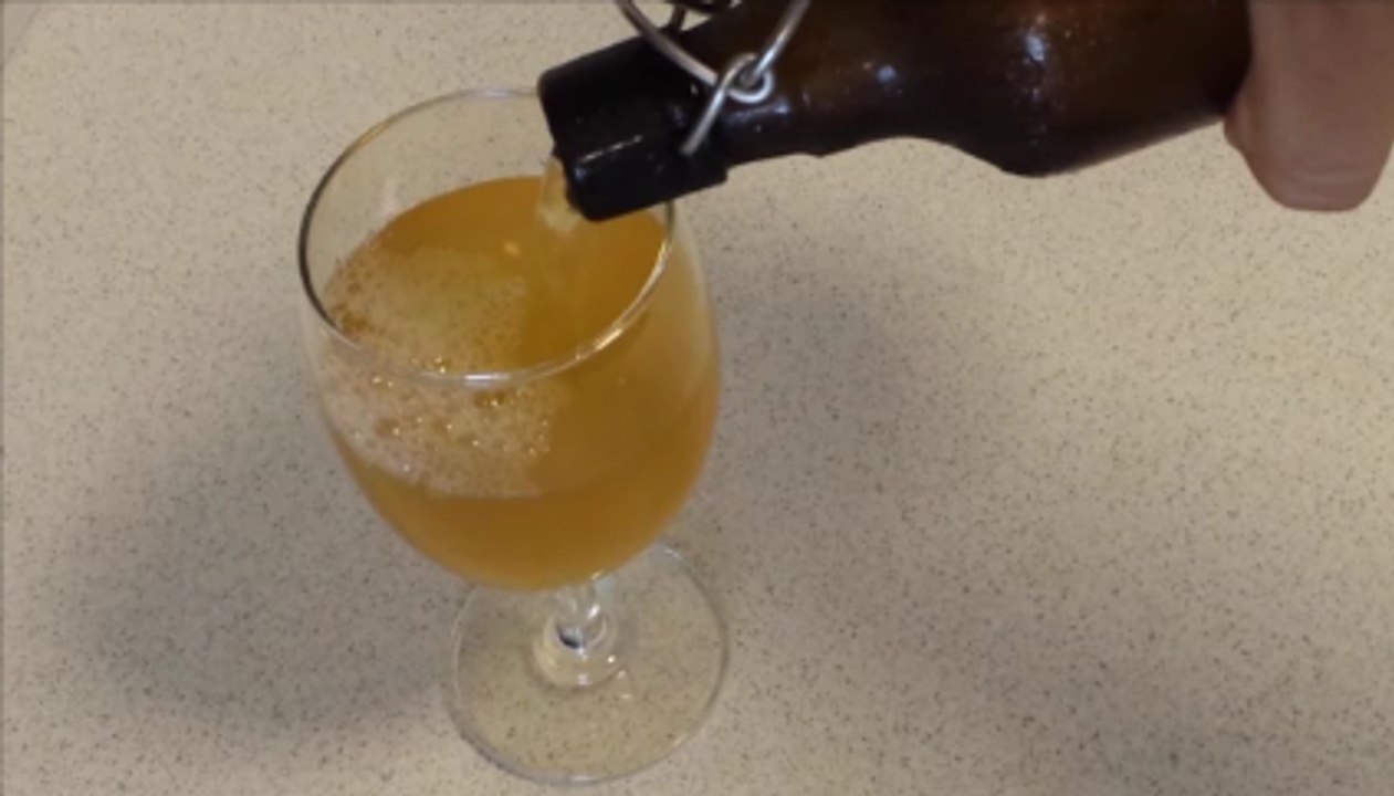 BIRRA di RISO fatta in casa