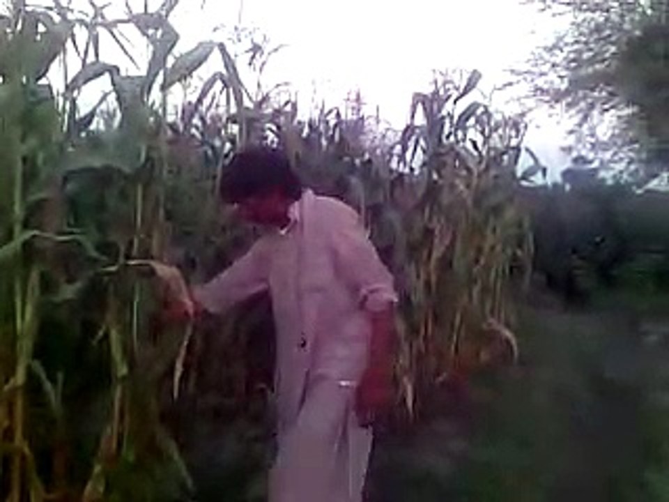 VID-20160914-WA0004