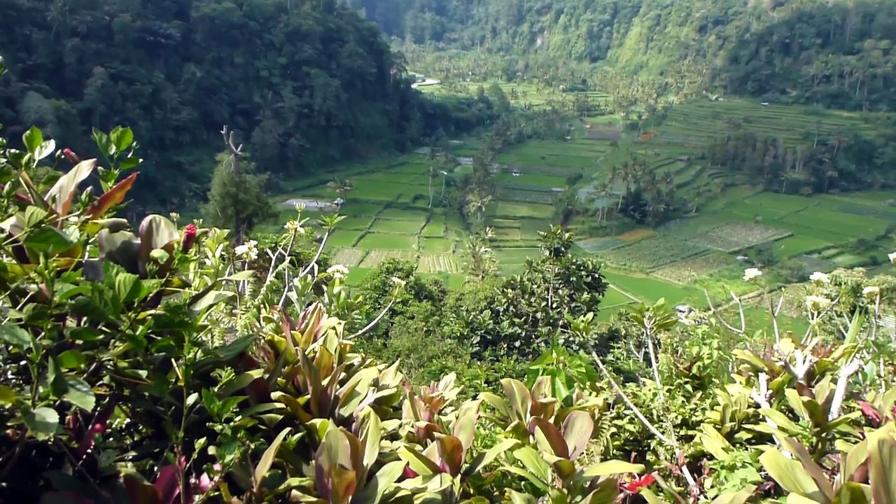 Bali 2016