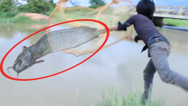 How To Fishing in Cambodia: Net Fishing in Siem Reap Province - Cambodian Traditional Fishing #1