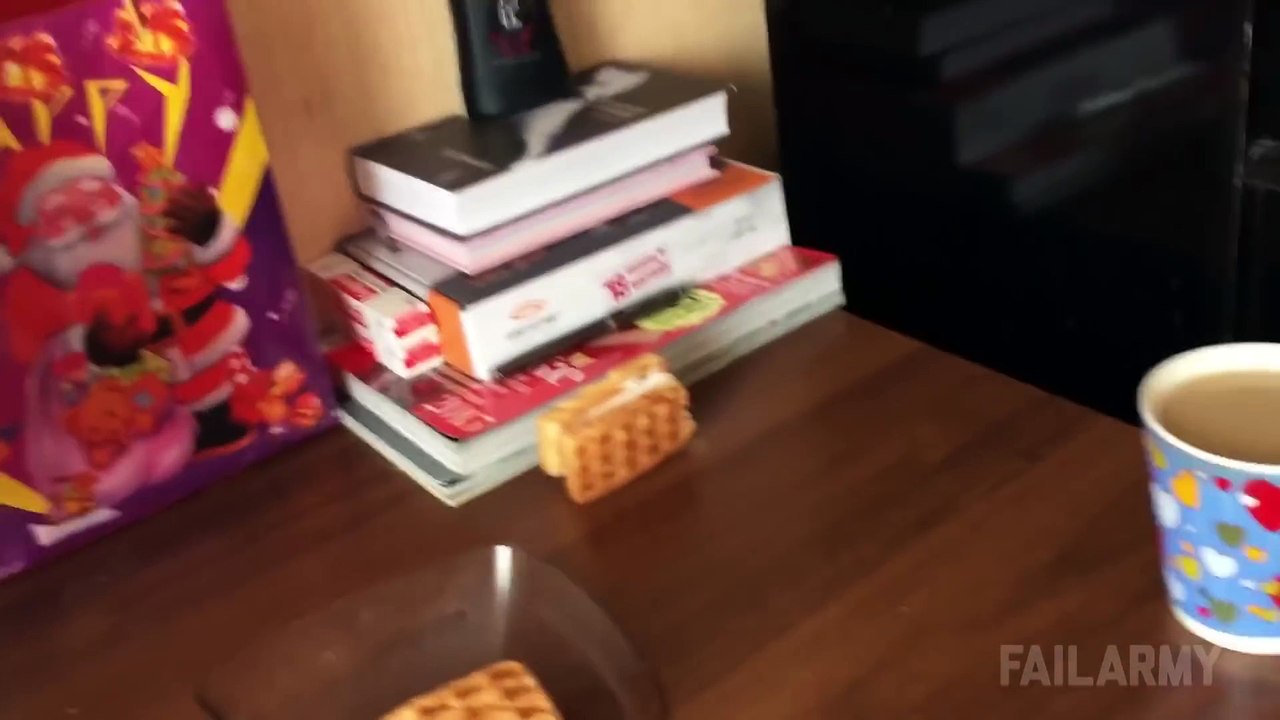 Instant Karma Fails Compilation    FailArmy
