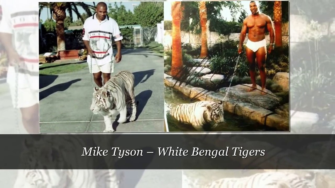TOP 10 Of The Most Unique & unusual Celebrity P...