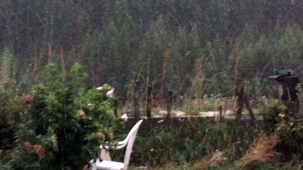 samedi 17 septembre au soir à Fontgillarde