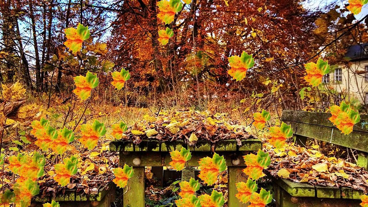 Paysages d'Automne 1