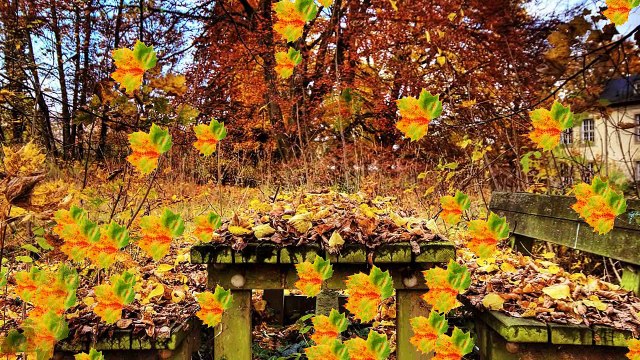 Paysages d'Automne 1