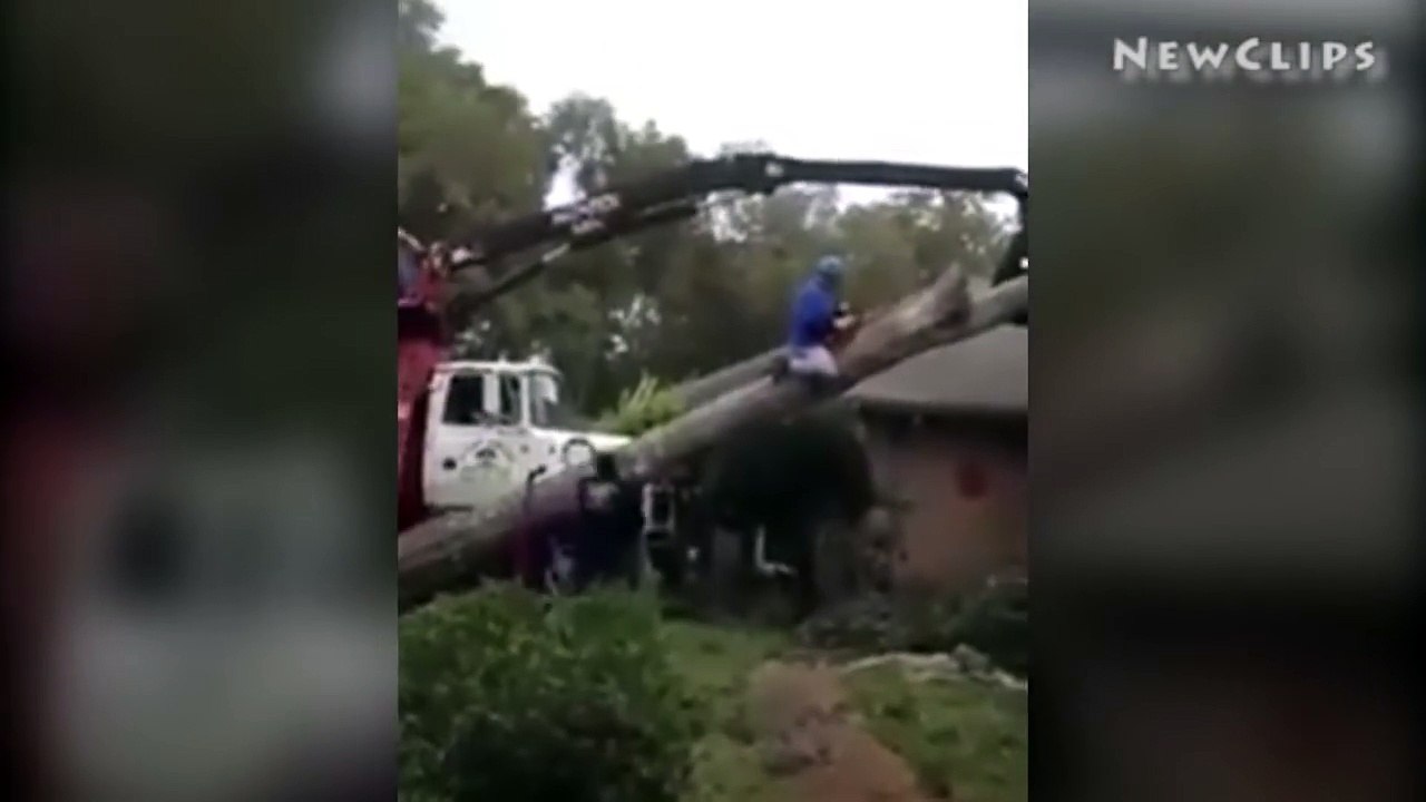 Il coupe un tronc en restant assis dessus