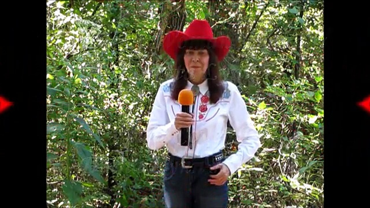 You Ain't Woman Enough-Loretta Lynn - Vocal Cover By Diana Lynn Howard