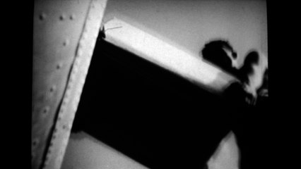 workers loading supplies vehic