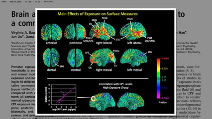 Are Organic Foods Safer?