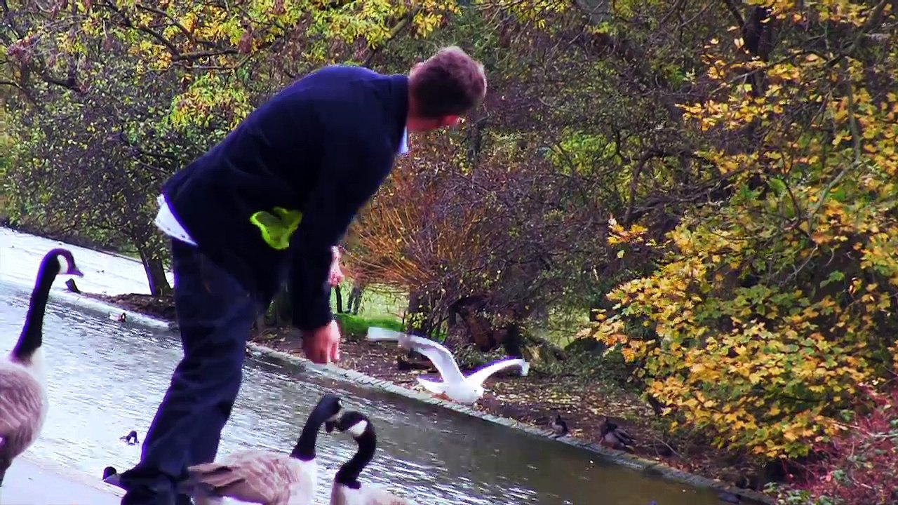 LONDON clipClash´s----DOCUclips- de paso-