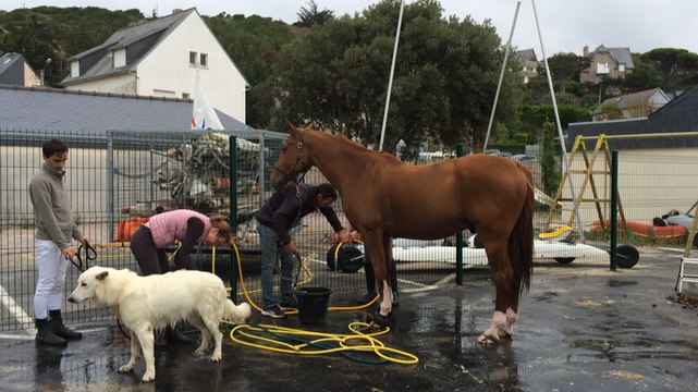 Parcours sans faute pour le Jumping