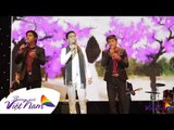 Hoa Tím Ngày Xưa - Tuấn Khương ft Đình Khoa ft Thái Hiền [Official]