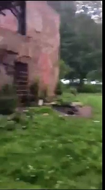 watch on your own responsibility
