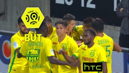 But Mariusz STEPINSKI (66ème) / AS Nancy Lorraine - FC Nantes - (1-1) - (ASNL-FCN) / 2016-17