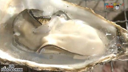 อิคิตะงะรีโนะ ตะลุยญี่ปุ่น HD ตอน ลุยฮโรชิม่า