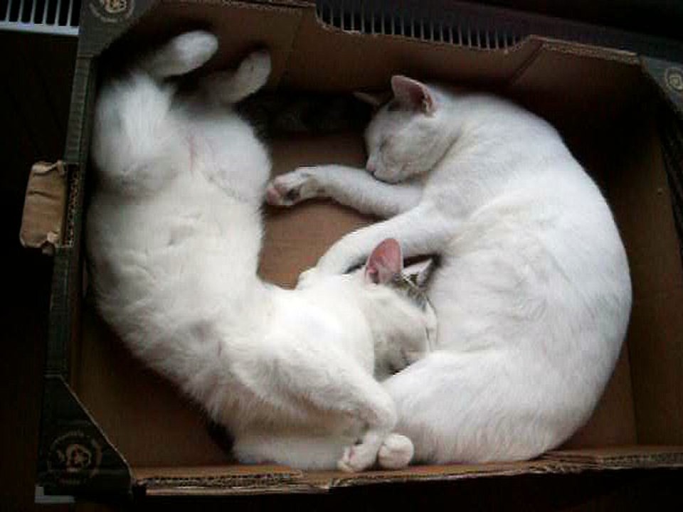 Harvey und Vinzent am 19.09.2016