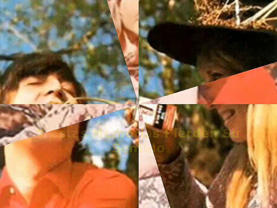 IN MY LIFE_beatles
