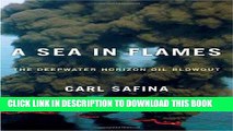 [PDF] A Sea in Flames: The Deepwater Horizon Oil Blowout Full Collection