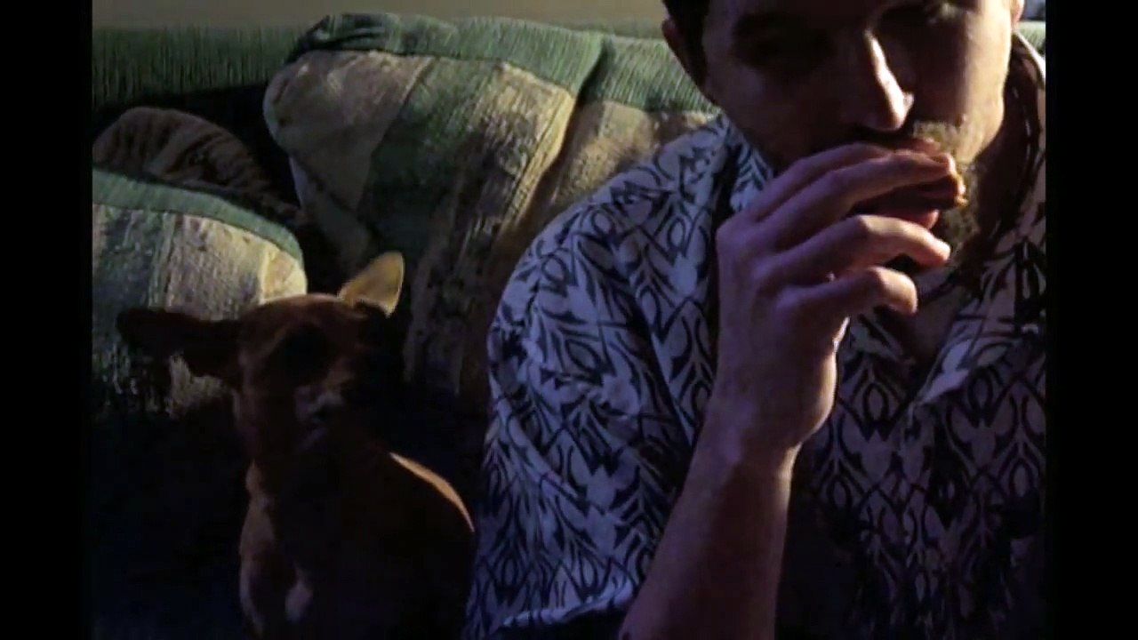 Best Chihuahua Compilation!!!