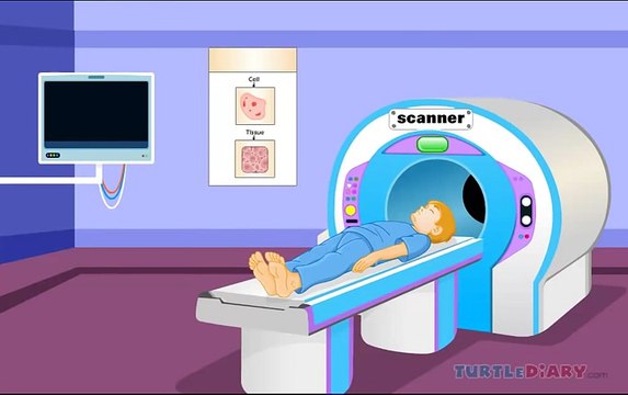 Human Body Lesson for Kids Learn about the Human Body !