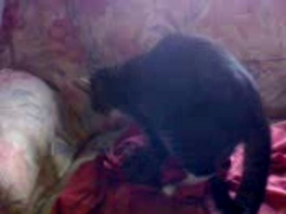 Diabolo et sa pelote