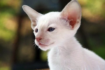 찜알바『zzimalba.com』경기알바,분당알바