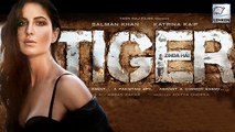 Katrina Kaif To Play An Eye Candy In Tiger Zinda Hai?