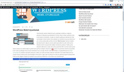 wordpress mobil uyumluluk testi ve wordpress mobil kurulumu