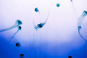 찜알바『zzimalba.com』울산고액알바,포항찜알바