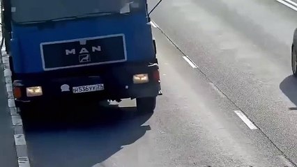 Un chat tombé d’une voiture sur l’autoroute survit miraculeusement