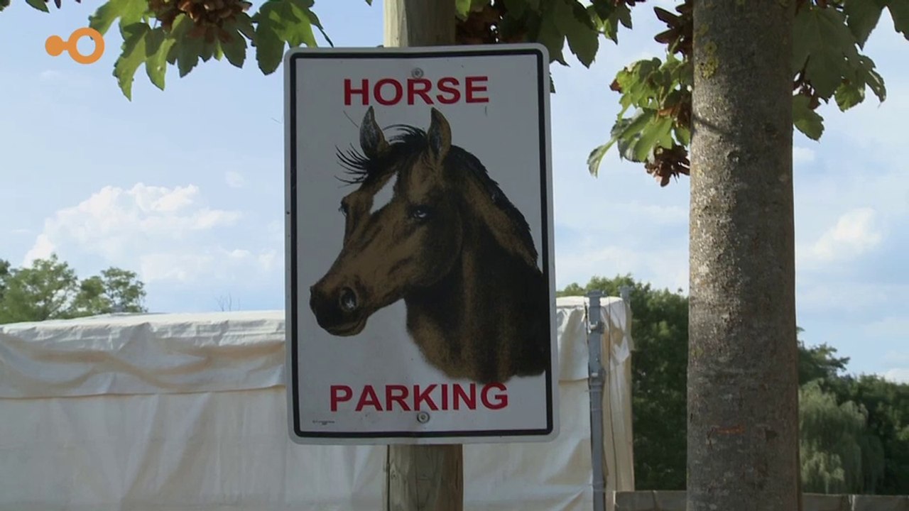 Sans commentaire: La Gavotte