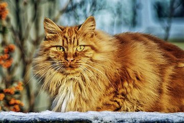 찜알바『zzimalba.com』청주고수익알바,강남고액알바